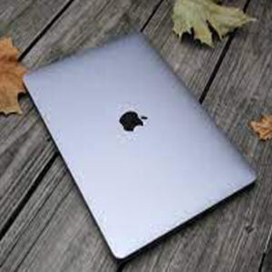 Apple MacBook - The Super Fox