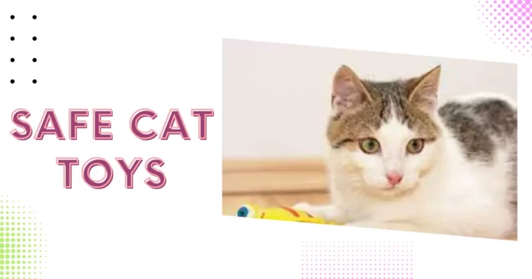 Choose toys that are an appropriate size for your cat to prevent the risk of choking or swallowing. Avoid toys with small parts that can be easily bitten off or detached. Check for any loose threads, buttons, or other small components that could pose a hazard.