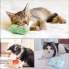 Cat Chew Toys