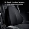 3D Bionic Lumbar Support