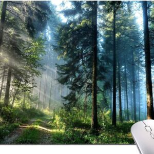 Mouse Pad Natural Scenery Forest