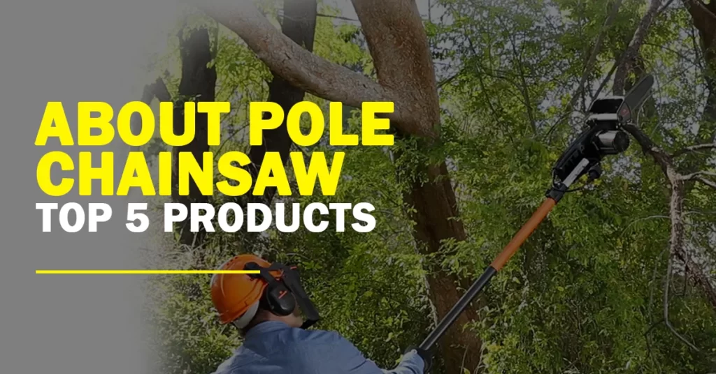 About Pole Chainsaw Top 5 Products - The Super Fox