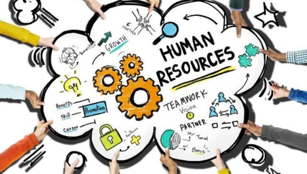 Human Resources and Talent Management: